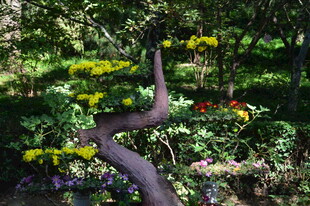 公园风景 