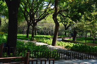 公园风景  