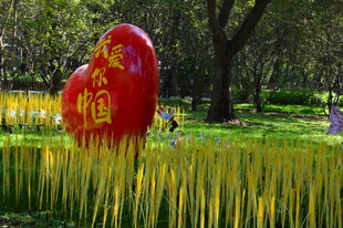 公园风景  