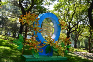 公园风景 