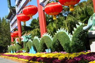 公园风景  