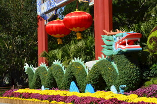 公园风景  