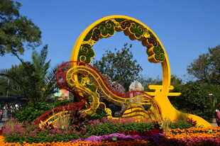 公园风景  