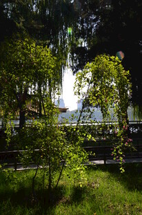 公园风景 