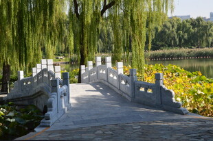 公园风景  