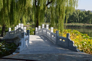 公园风景  