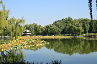 公园风景  