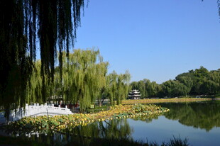 公园风景  