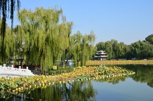 公园风景  