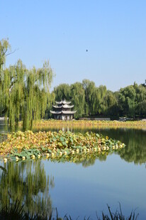 公园风景  