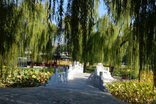 公园风景 
