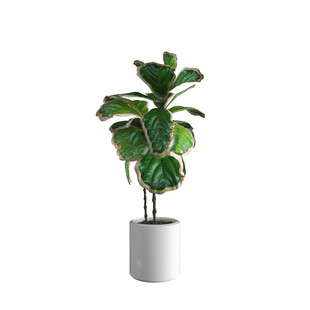 C4D模型 绿色植物