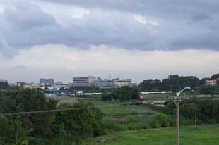 郊野