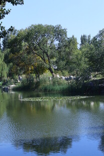 公园风景  