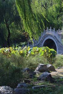 公园风景 