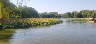 公园风景  