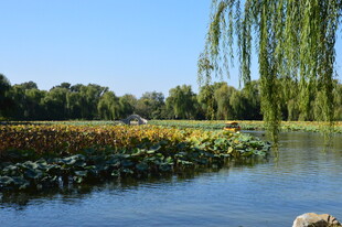 公园风景 