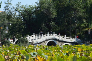 公园风景 