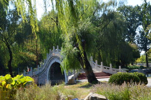公园风景 