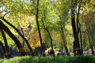 圆明园风景 