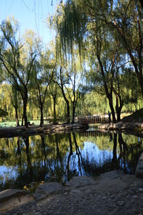 公园风景  