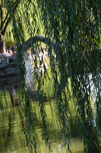 公园风景  