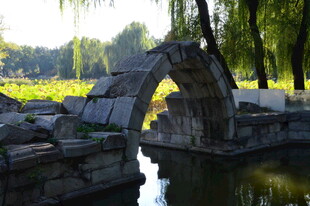 公园风景 