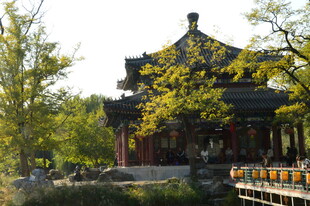 公园风景  