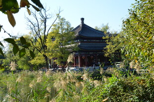 圆明园风景 