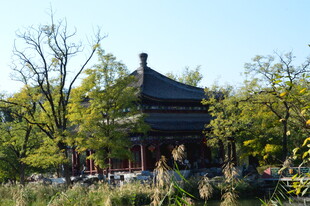 公园风景 