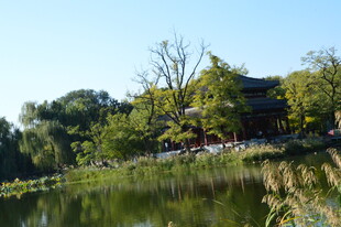 公园风景 