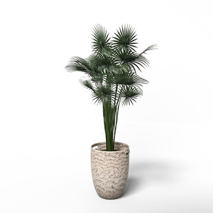 C4D模型 绿色植物