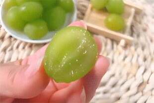 葡萄