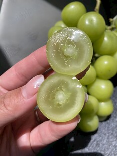 葡萄