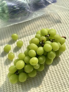 葡萄