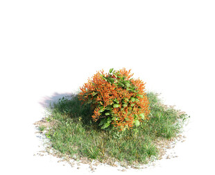 C4D模型 绿色植物