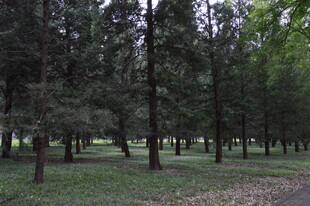 公园风景  