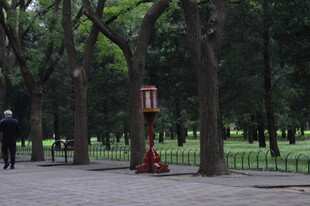 公园风景 