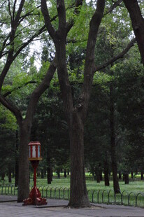 公园风景  