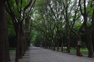 公园风景  