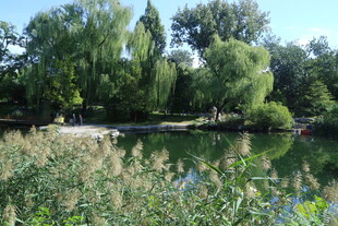 陶然亭风景 