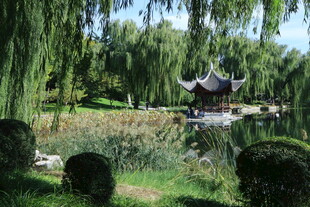 公园风景  
