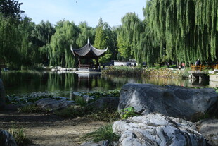 公园风景  