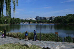 公园风景  
