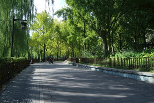 公园风景  