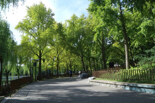 公园风景  
