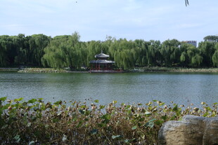 公园风景 