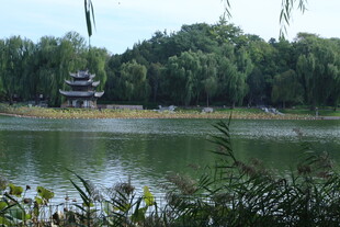公园风景 