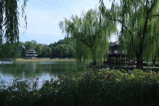 陶然亭风景  