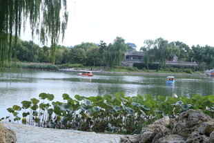公园风景 
